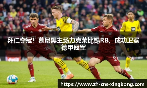 星空体育在线官网